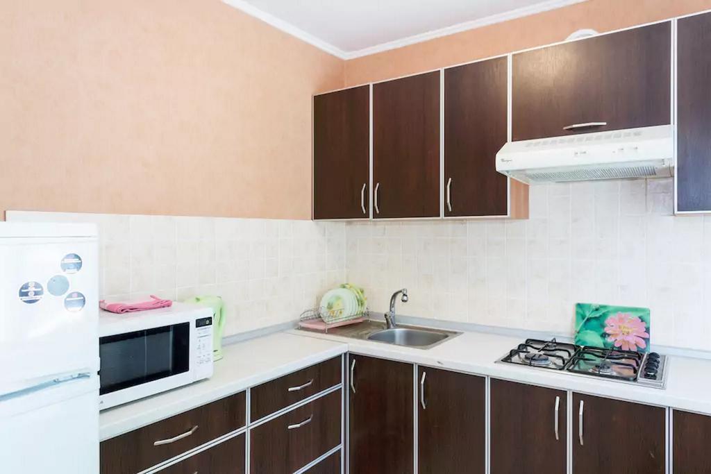 Apartment In Zaporozhye. Antica Zaporizhia Eksteriør bilde