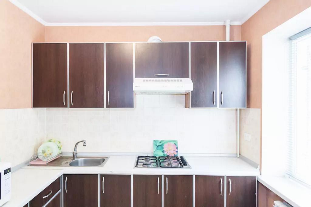 Apartment In Zaporozhye. Antica Zaporizhia Eksteriør bilde